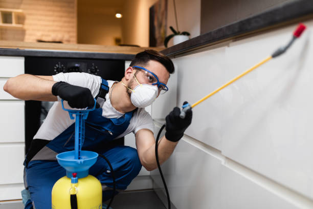 Best Pest Inspection Near Me  in Goodman, MO