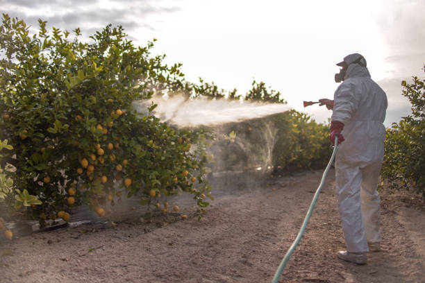 Best Residential Pest Control  in Goodman, MO