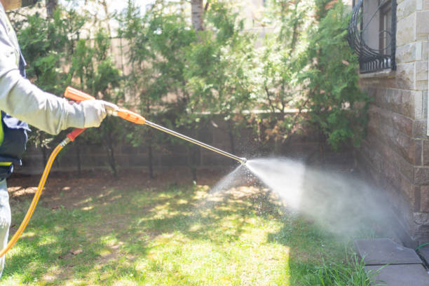 Best Affordable Pest Control Services  in Goodman, MO