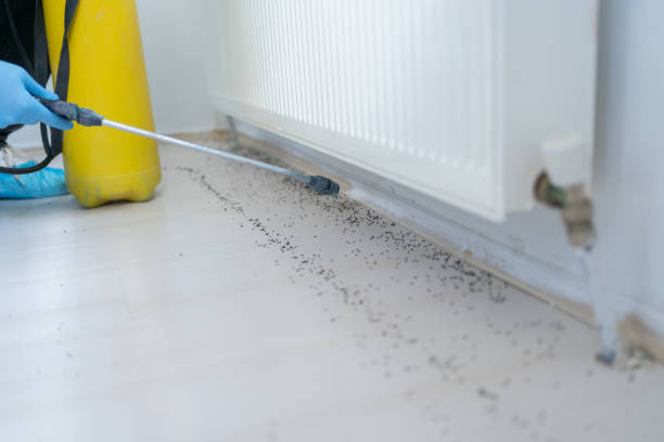 Best Exterminator Services  in Goodman, MO
