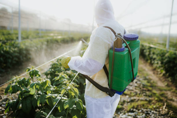 Best Wildlife Control Services  in Goodman, MO
